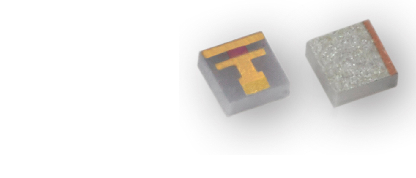Banner Image ALT