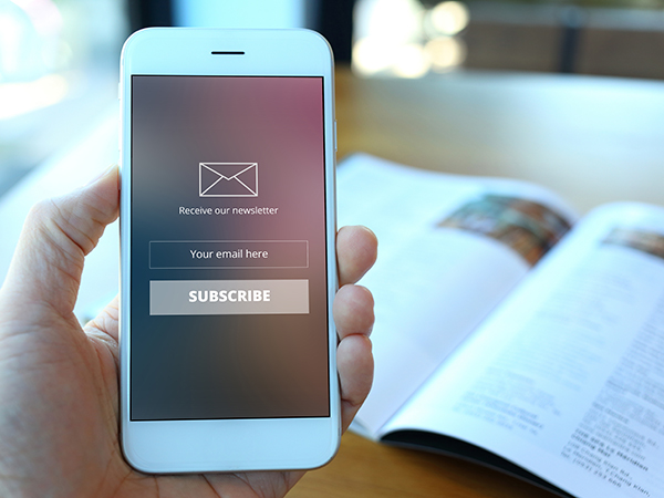 Newsletter Subscribe