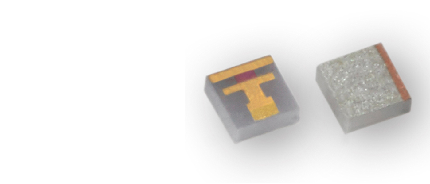 Banner Image ALT